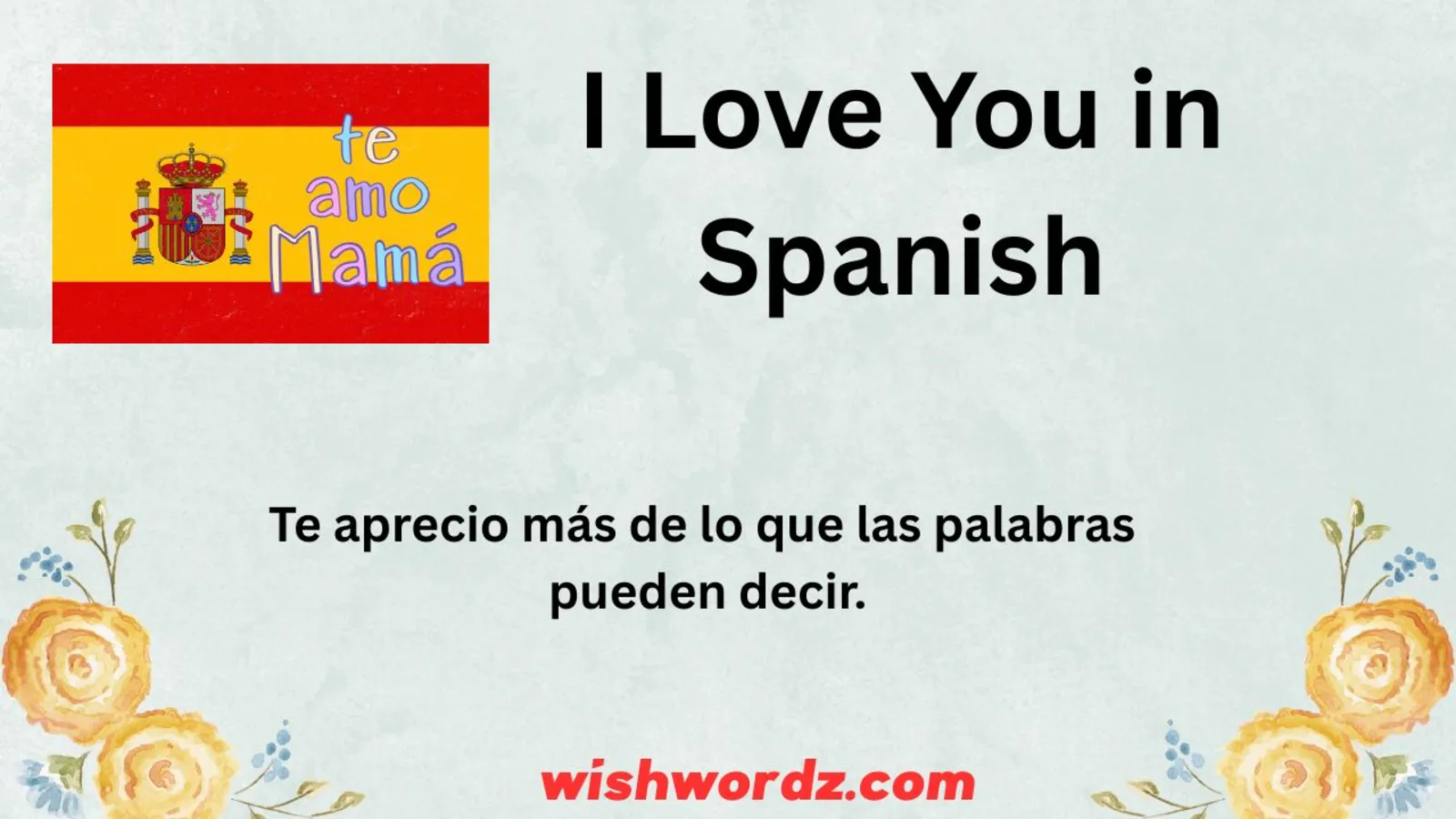 I Love You in Spanish