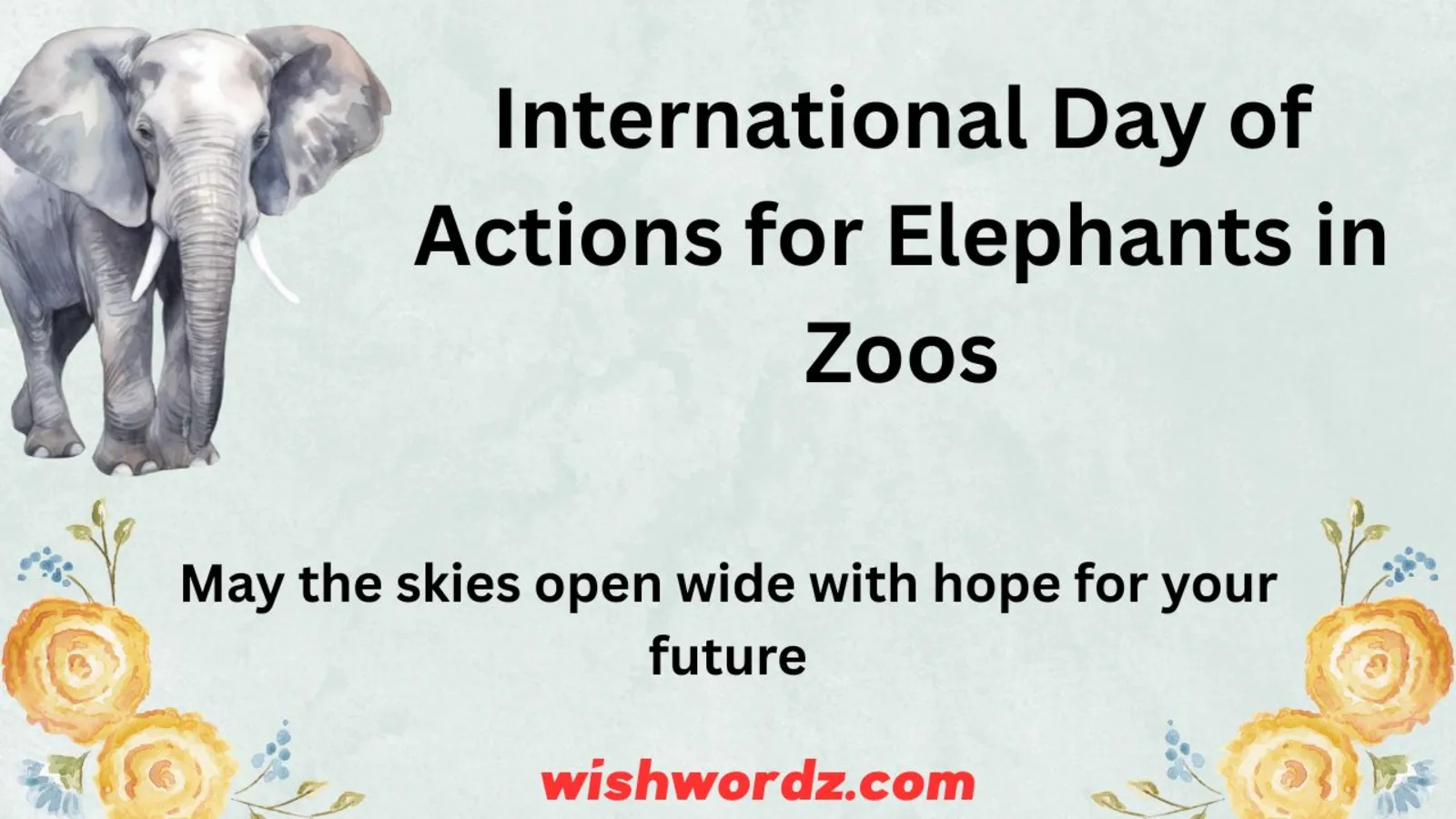 International Day of Actions for Elephants in Zoos