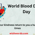 World Blood Donor Day