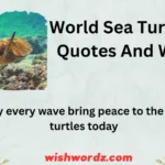 World Sea Turtle Day Quotes And Wishes