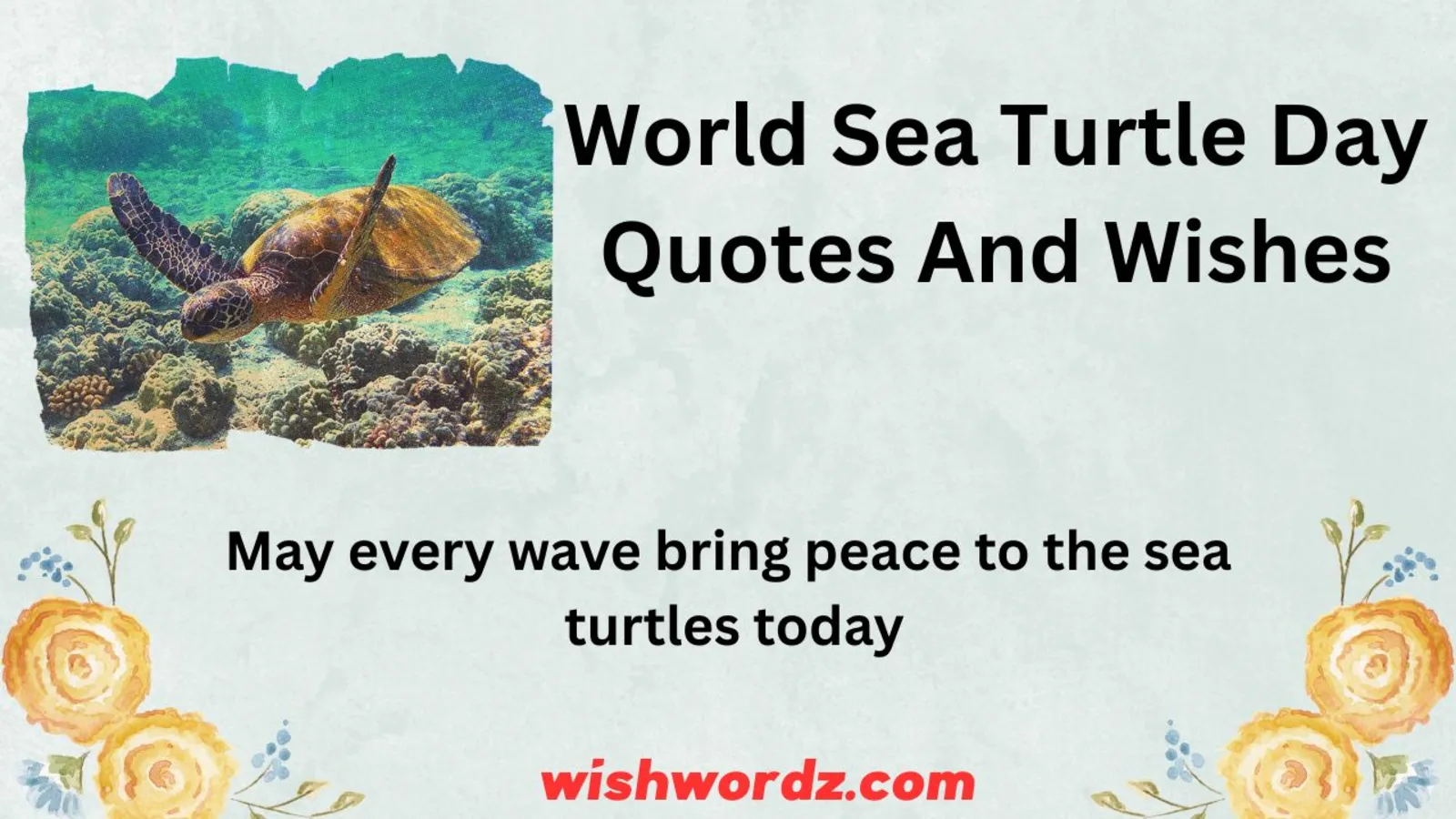 World Sea Turtle Day Quotes And Wishes