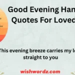 Good Evening Handsome Quotes for Loved Ones