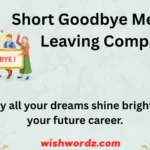 Short Goodbye Messages Leaving Company