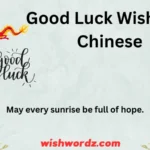 Good Luck Wishes in Chinese