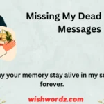 Missing my dead friend messages