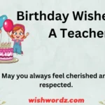 Birthday Wishes For A Teacher