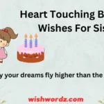 Heart Touching Birthday Wishes for Sister