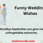 Funny Wedding Wishes