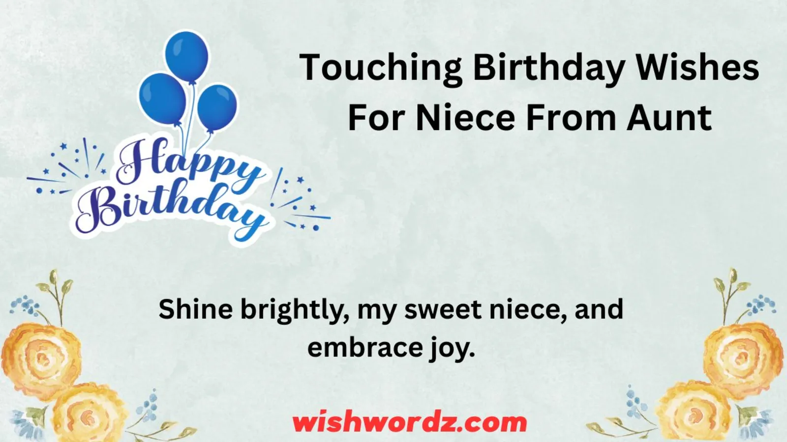 Touching Birthday Wishes For Niece From Aunt