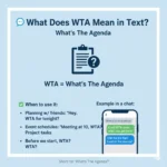 What Does WTA Mean in Text?