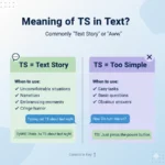 Meaning of TS in Text